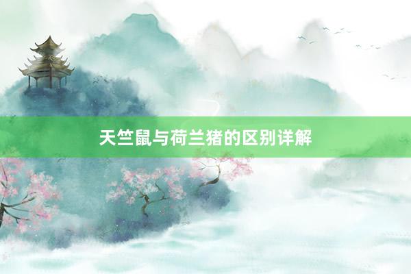 天竺鼠与荷兰猪的区别详解