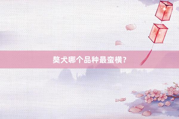 獒犬哪个品种最蛮横？